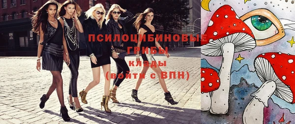 гашик Алексеевка