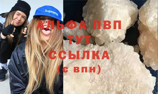 гашик Алексеевка