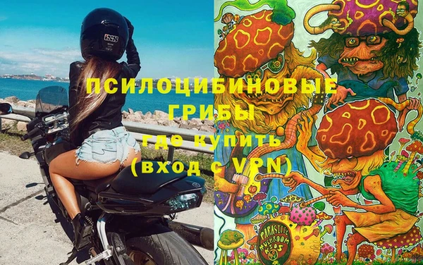 гашик Алексеевка