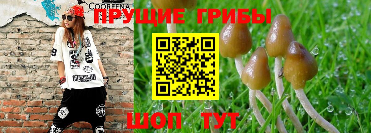 Евпатория  Псилоцибиновые грибы ЛСД  Вход с VPN 
